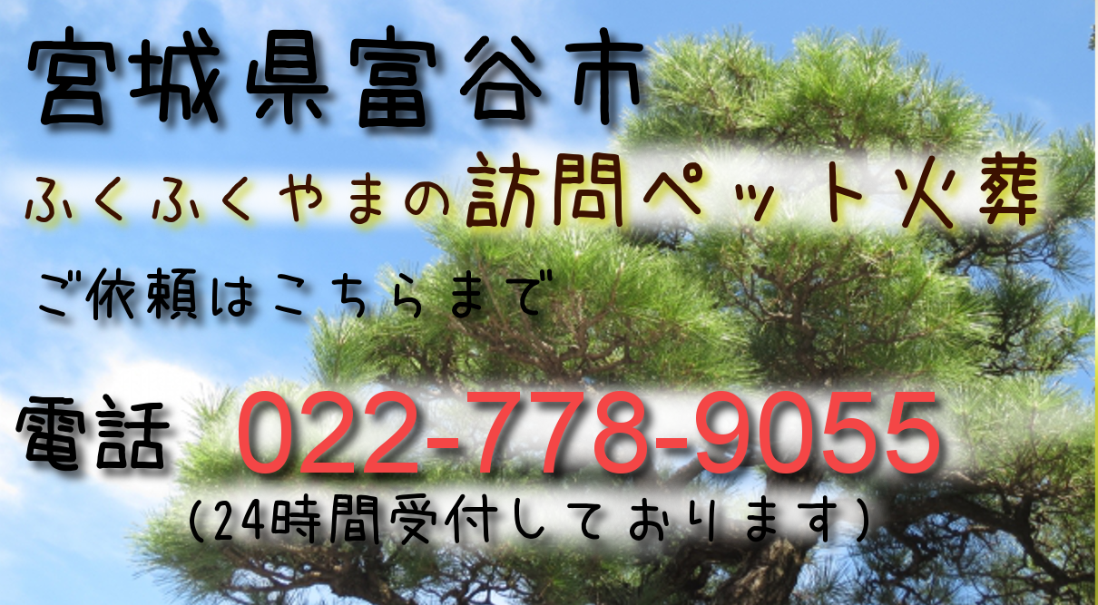 富谷 市 ペット 販売 霊園