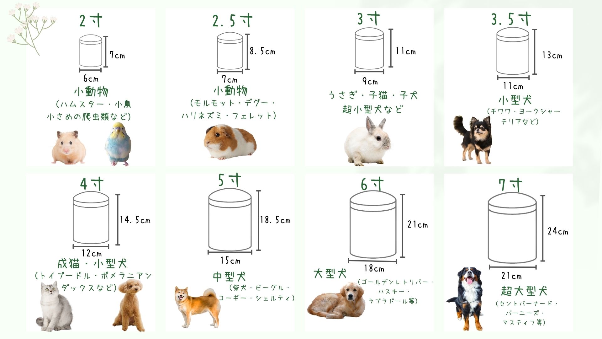 うちのペットの骨壷のサイズは？ どこよりも詳しい完全ガイド
