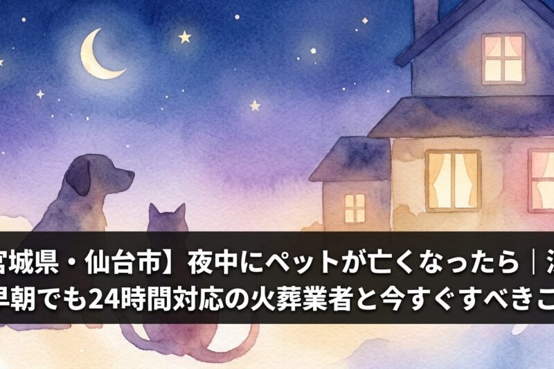 仙台市深夜ペット火葬24時間対応イメージ